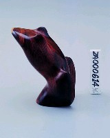 藏品(青蛙)的圖片